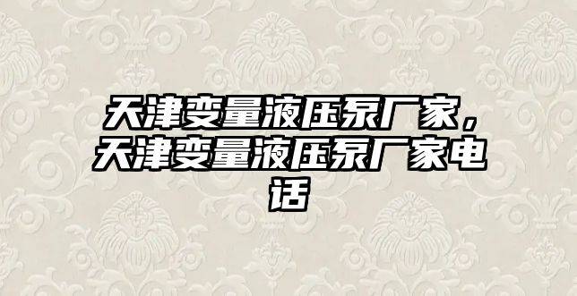 天津變量液壓泵廠家，天津變量液壓泵廠家電話