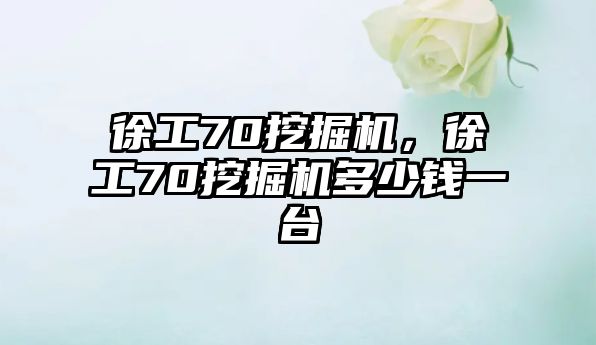 徐工70挖掘機(jī)，徐工70挖掘機(jī)多少錢一臺(tái)