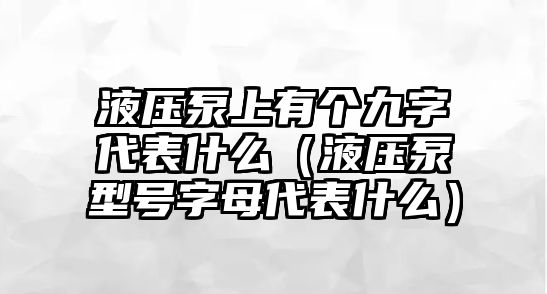 液壓泵上有個(gè)九字代表什么（液壓泵型號(hào)字母代表什么）