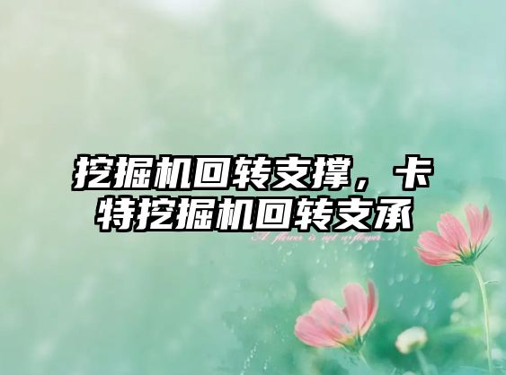 挖掘機回轉(zhuǎn)支撐，卡特挖掘機回轉(zhuǎn)支承