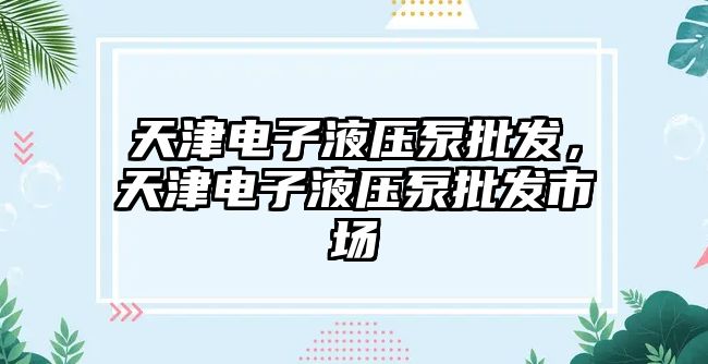 天津電子液壓泵批發(fā)，天津電子液壓泵批發(fā)市場