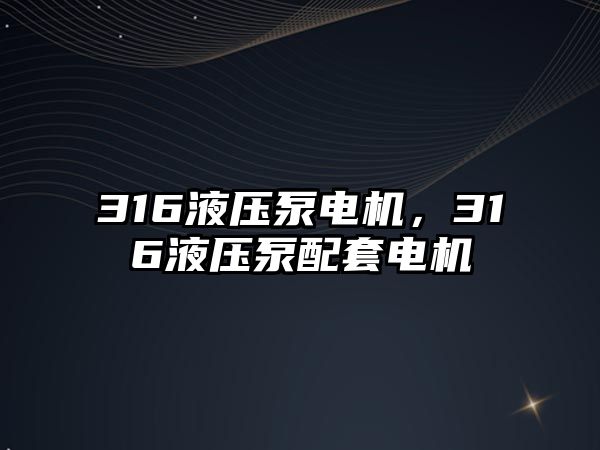 316液壓泵電機，316液壓泵配套電機