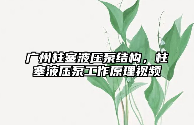 廣州柱塞液壓泵結(jié)構(gòu)，柱塞液壓泵工作原理視頻