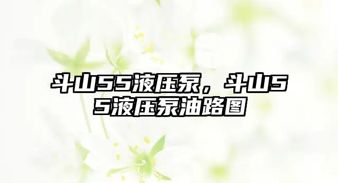 斗山55液壓泵，斗山55液壓泵油路圖