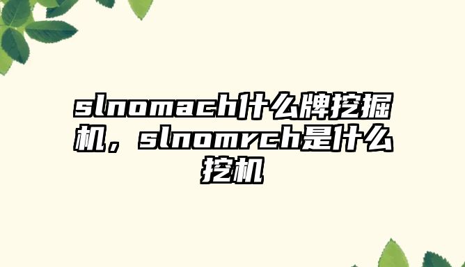 slnomach什么牌挖掘機，slnomrch是什么挖機