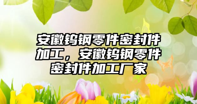 安徽鎢鋼零件密封件加工，安徽鎢鋼零件密封件加工廠家