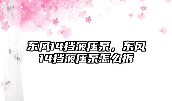 東風14擋液壓泵，東風14擋液壓泵怎么拆