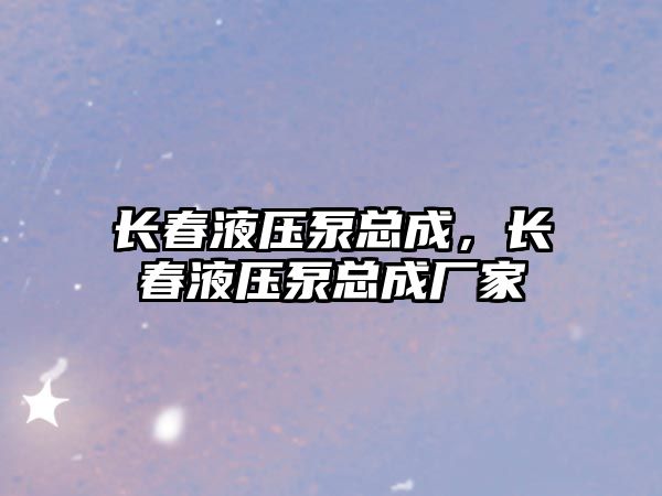 長春液壓泵總成，長春液壓泵總成廠家