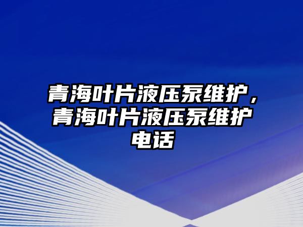 青海葉片液壓泵維護(hù)，青海葉片液壓泵維護(hù)電話