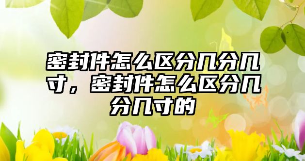 密封件怎么區(qū)分幾分幾寸，密封件怎么區(qū)分幾分幾寸的