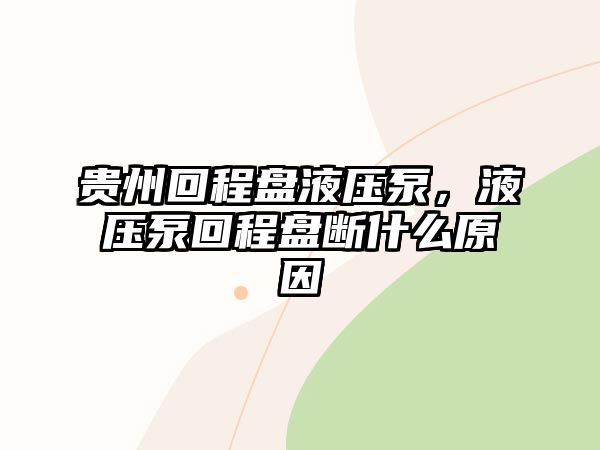 貴州回程盤液壓泵，液壓泵回程盤斷什么原因