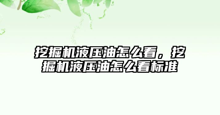 挖掘機液壓油怎么看，挖掘機液壓油怎么看標準