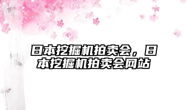 日本挖掘機拍賣會，日本挖掘機拍賣會網(wǎng)站