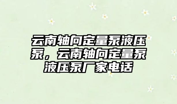 云南軸向定量泵液壓泵，云南軸向定量泵液壓泵廠家電話