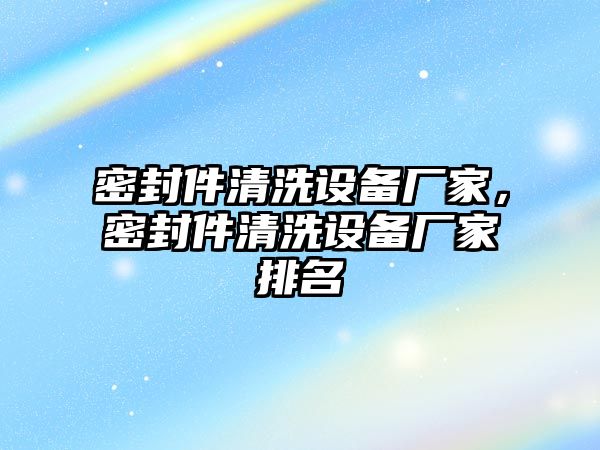 密封件清洗設(shè)備廠家，密封件清洗設(shè)備廠家排名