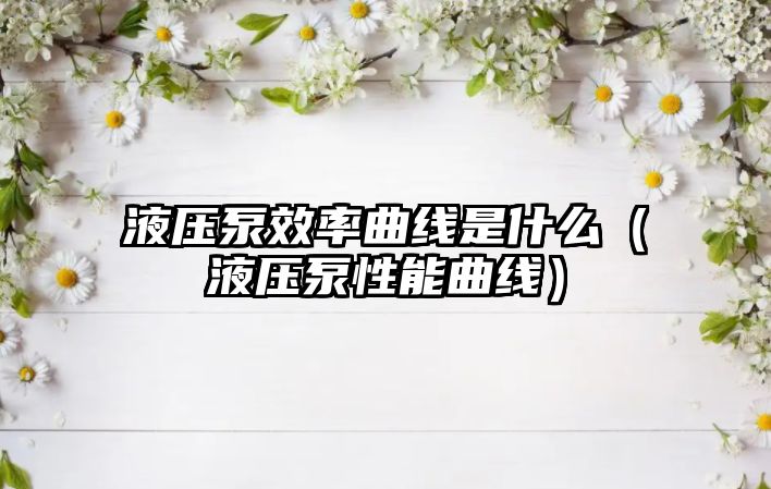 液壓泵效率曲線是什么（液壓泵性能曲線）