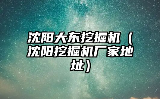 沈陽大東挖掘機（沈陽挖掘機廠家地址）