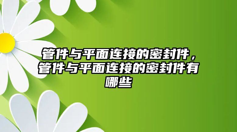 管件與平面連接的密封件，管件與平面連接的密封件有哪些