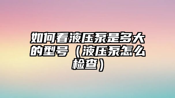 如何看液壓泵是多大的型號(hào)（液壓泵怎么檢查）