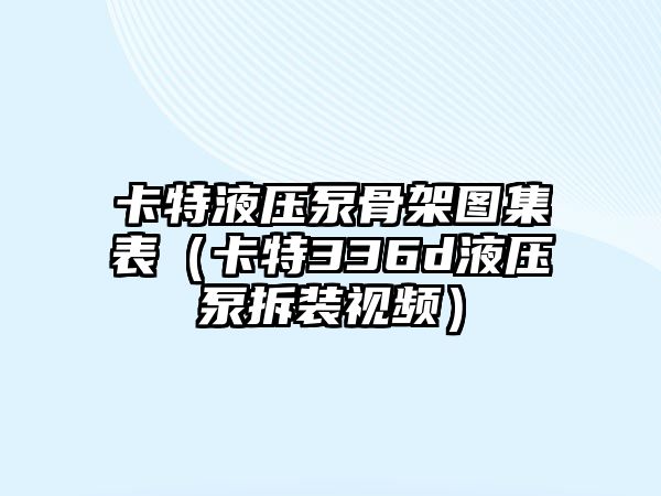 卡特液壓泵骨架圖集表（卡特336d液壓泵拆裝視頻）