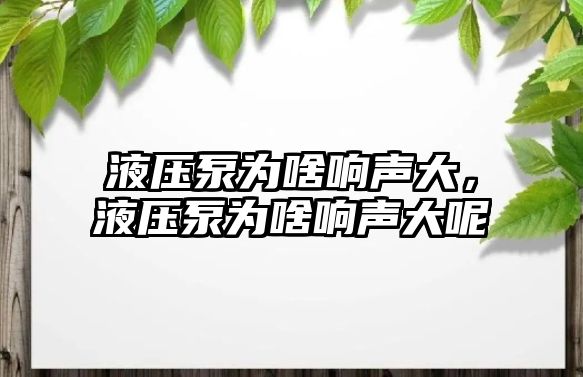 液壓泵為啥響聲大，液壓泵為啥響聲大呢