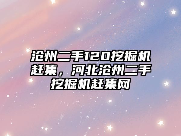 滄州二手120挖掘機趕集，河北滄州二手挖掘機趕集網(wǎng)