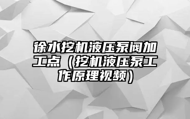 徐水挖機(jī)液壓泵閥加工點(diǎn)（挖機(jī)液壓泵工作原理視頻）