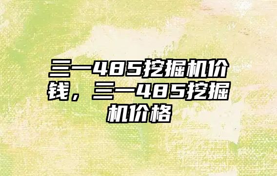 三一485挖掘機(jī)價(jià)錢，三一485挖掘機(jī)價(jià)格