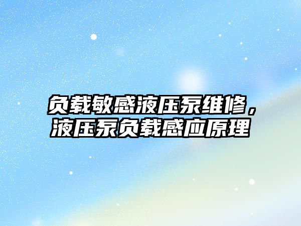 負載敏感液壓泵維修，液壓泵負載感應原理