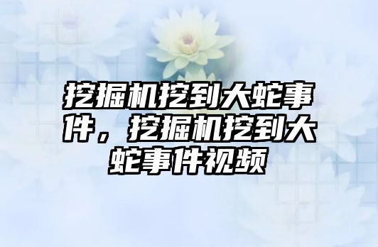 挖掘機挖到大蛇事件，挖掘機挖到大蛇事件視頻