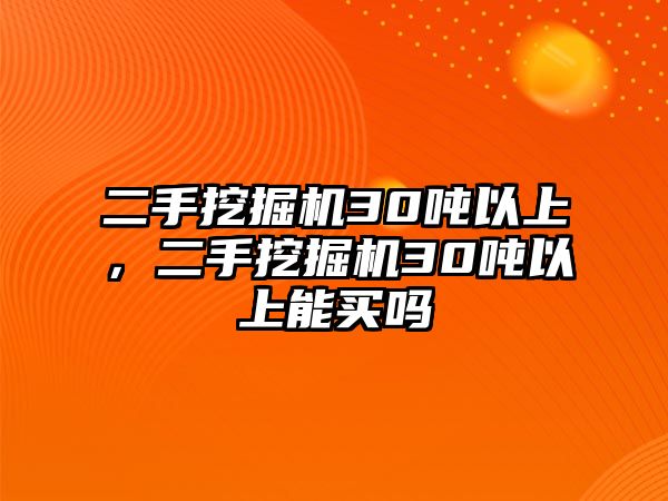 二手挖掘機30噸以上，二手挖掘機30噸以上能買嗎