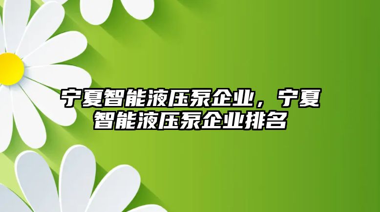 寧夏智能液壓泵企業(yè)，寧夏智能液壓泵企業(yè)排名