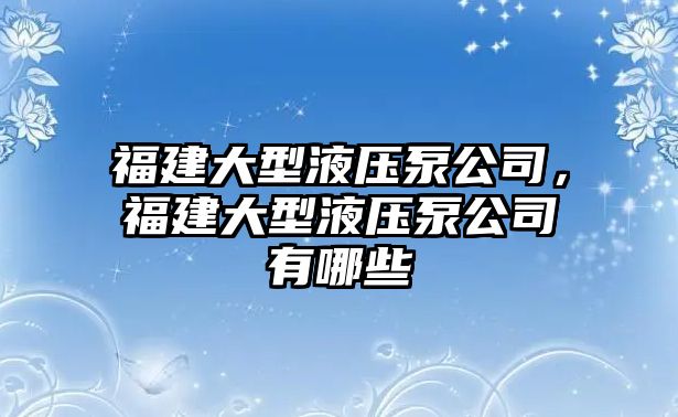 福建大型液壓泵公司，福建大型液壓泵公司有哪些