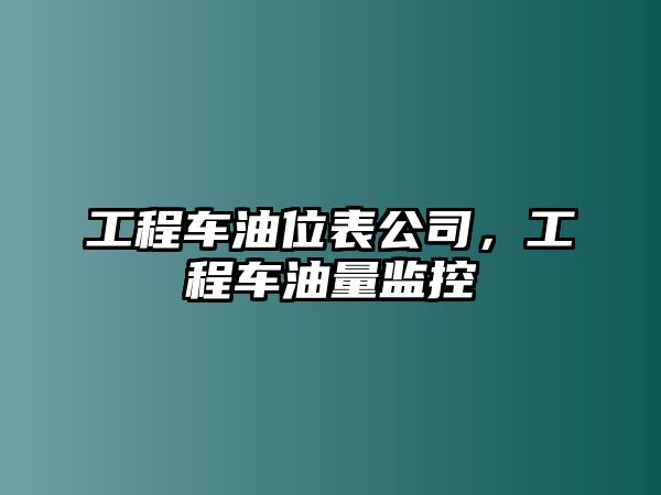 工程車油位表公司，工程車油量監(jiān)控