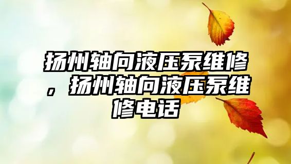 揚州軸向液壓泵維修，揚州軸向液壓泵維修電話