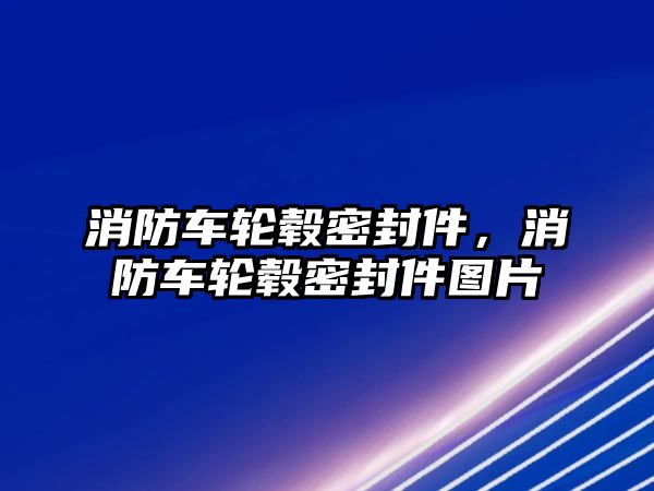 消防車輪轂密封件，消防車輪轂密封件圖片