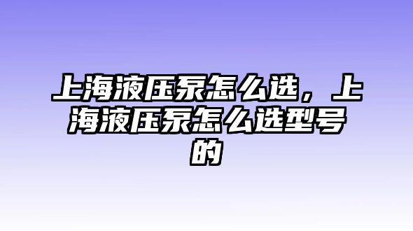 上海液壓泵怎么選，上海液壓泵怎么選型號的