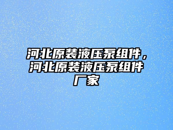 河北原裝液壓泵組件，河北原裝液壓泵組件廠家