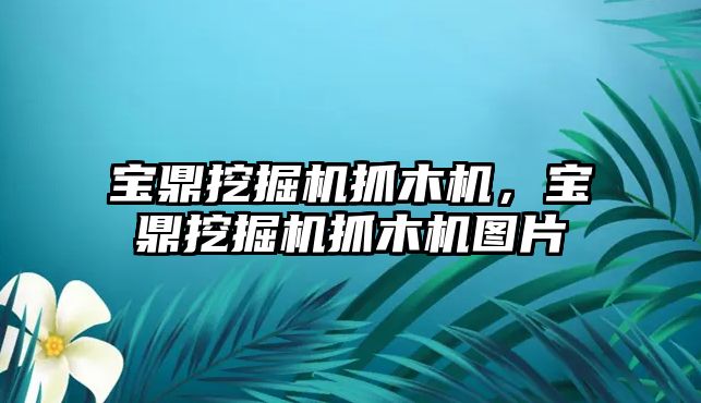 寶鼎挖掘機抓木機，寶鼎挖掘機抓木機圖片