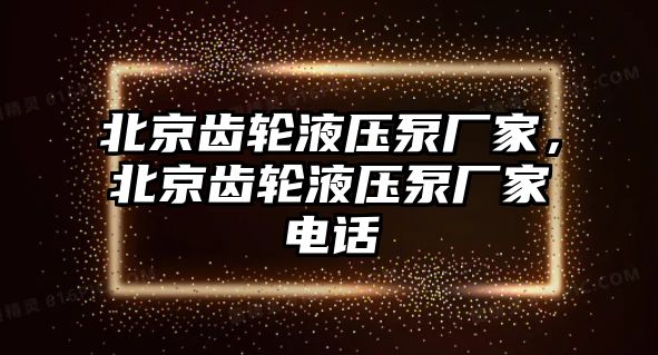 北京齒輪液壓泵廠家，北京齒輪液壓泵廠家電話