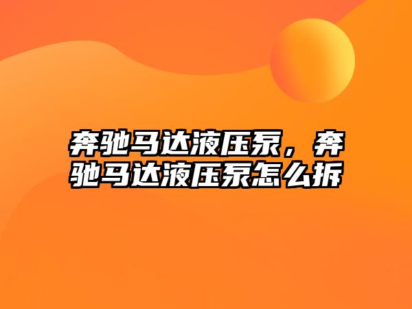 奔馳馬達(dá)液壓泵，奔馳馬達(dá)液壓泵怎么拆