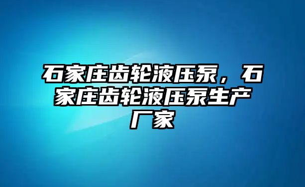 石家莊齒輪液壓泵，石家莊齒輪液壓泵生產(chǎn)廠家