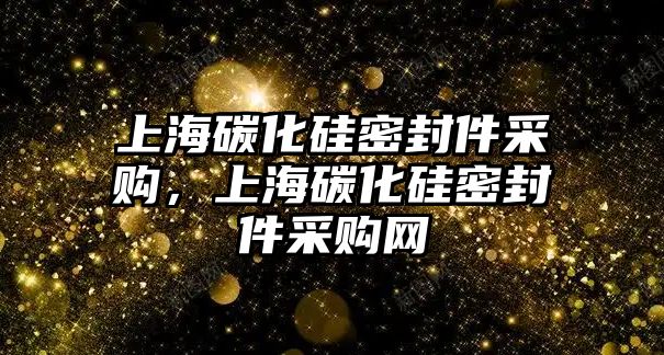 上海碳化硅密封件采購(gòu)，上海碳化硅密封件采購(gòu)網(wǎng)