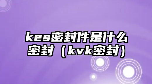 kes密封件是什么密封（kvk密封）