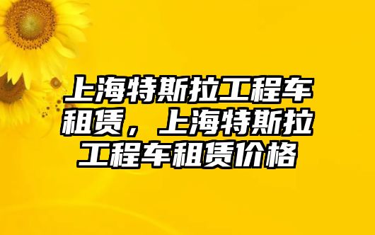 上海特斯拉工程車租賃，上海特斯拉工程車租賃價(jià)格