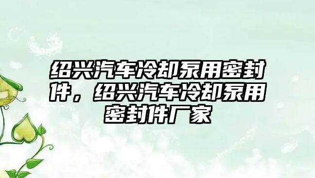 紹興汽車冷卻泵用密封件，紹興汽車冷卻泵用密封件廠家