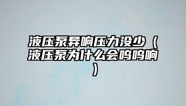 液壓泵異響壓力沒少（液壓泵為什么會嗚嗚響）