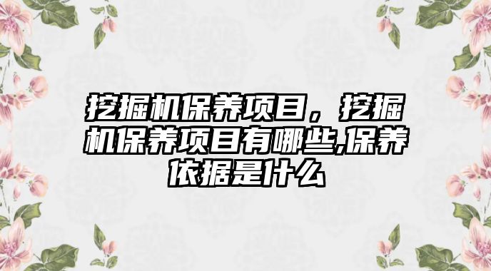 挖掘機(jī)保養(yǎng)項(xiàng)目，挖掘機(jī)保養(yǎng)項(xiàng)目有哪些,保養(yǎng)依據(jù)是什么