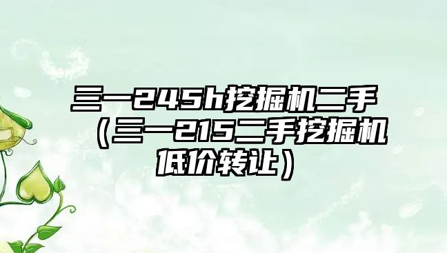 三一245h挖掘機(jī)二手（三一215二手挖掘機(jī)低價(jià)轉(zhuǎn)讓?zhuān)? class=