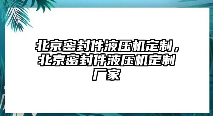 北京密封件液壓機定制，北京密封件液壓機定制廠家